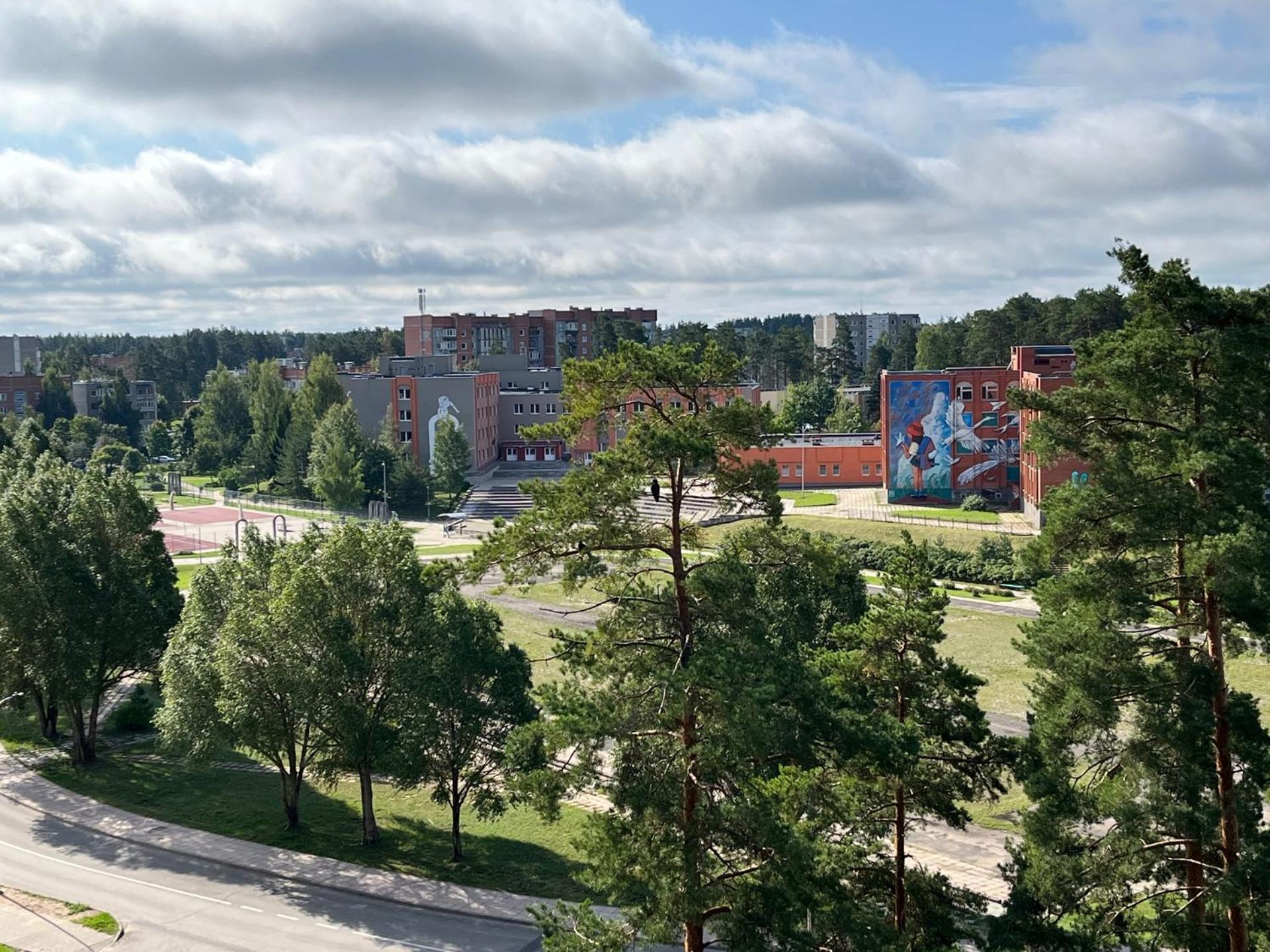 Pine Apartment Visaginas Kültér fotó