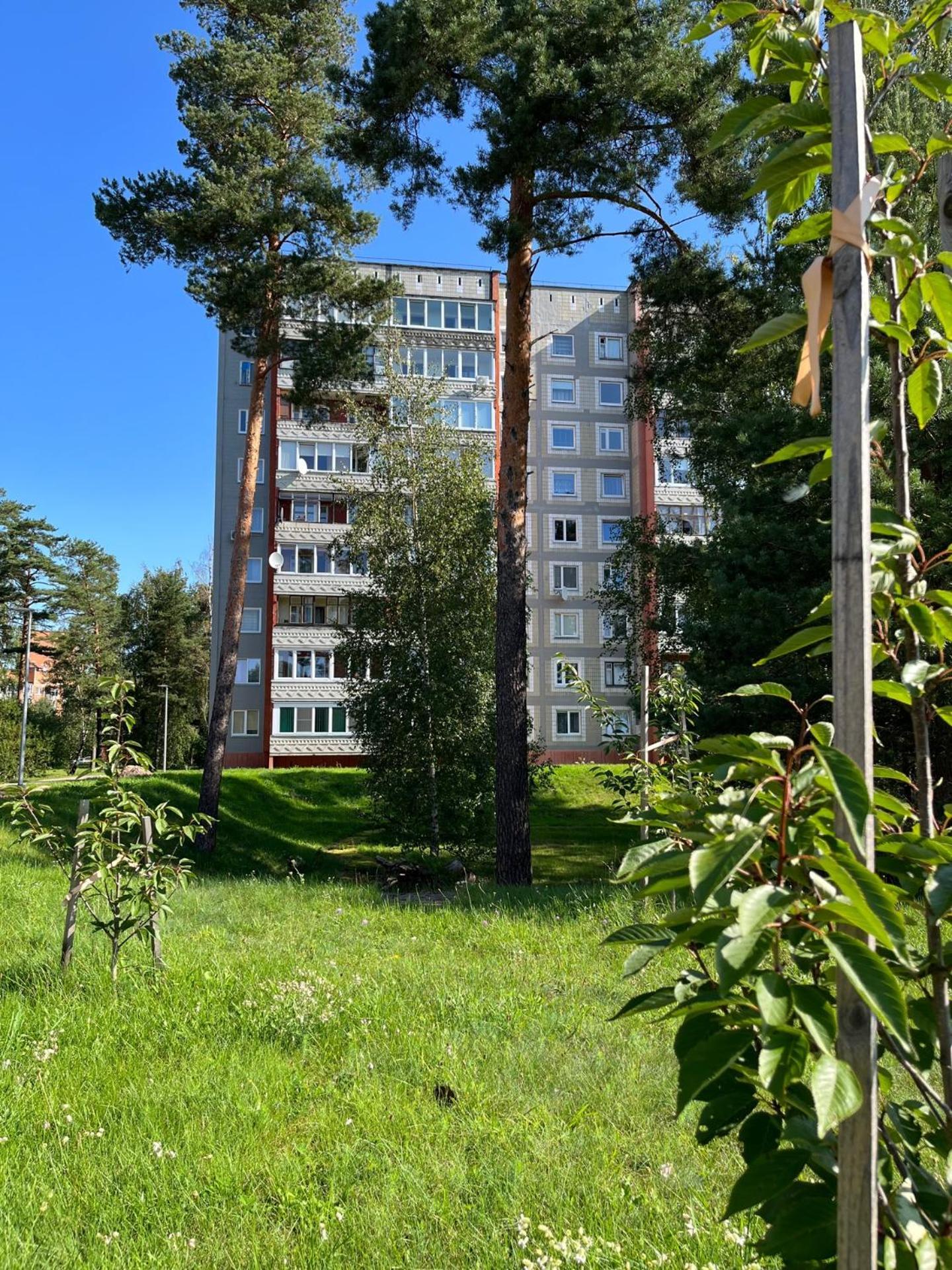 Pine Apartment Visaginas Kültér fotó