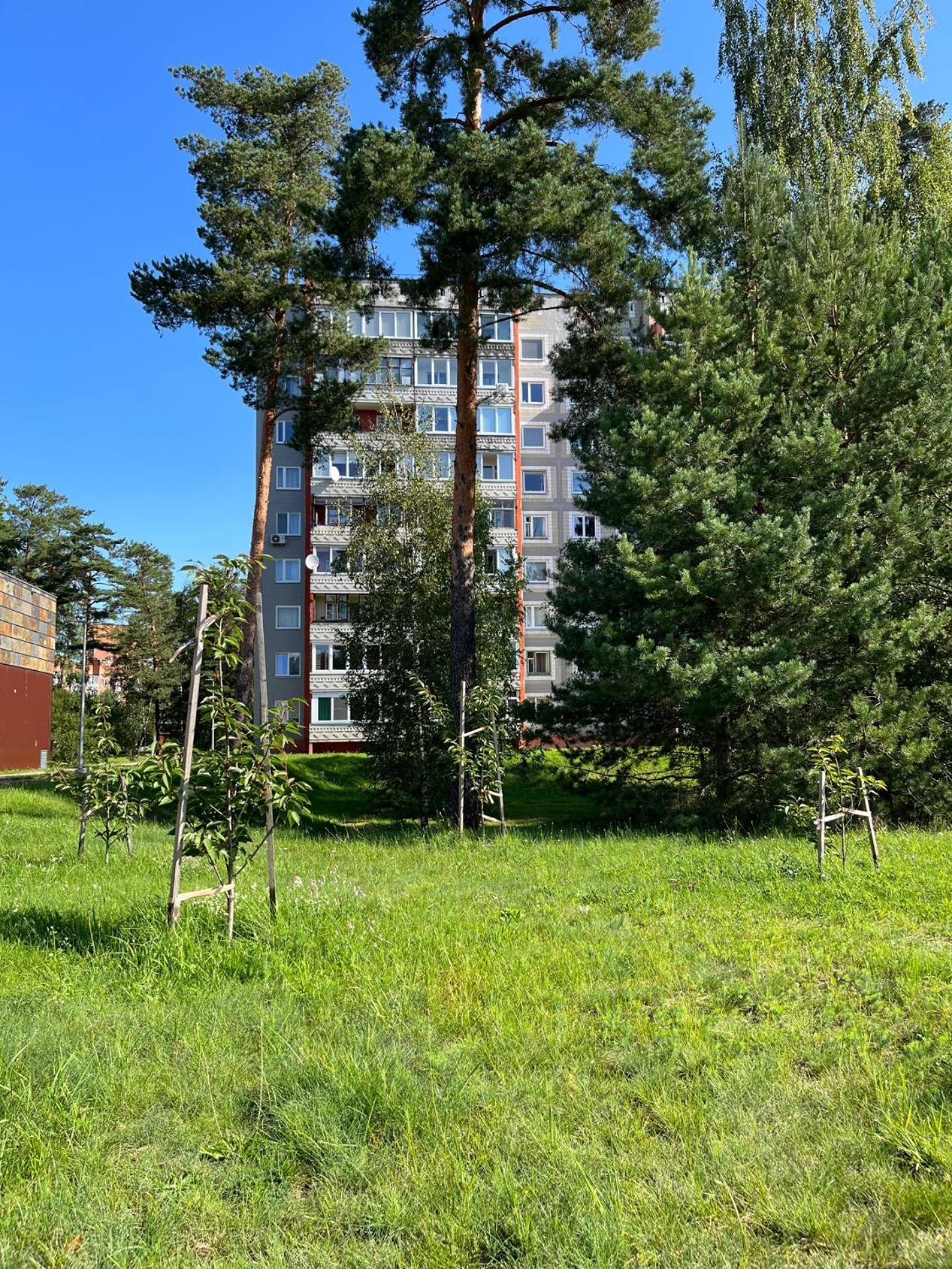 Pine Apartment Visaginas Kültér fotó